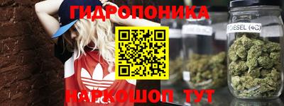 PSILOCYBIN Бугуруслан