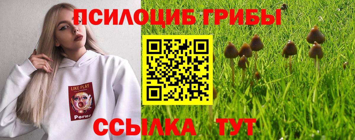 Галлюциногенные грибы прущие грибы Старый Оскол