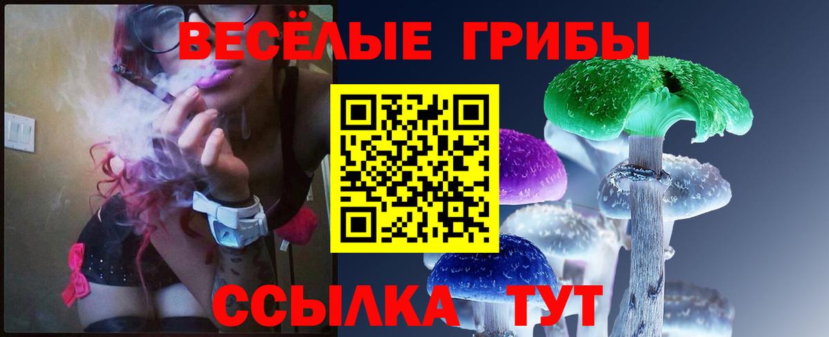 наркота  Вход с VPN  Галлюциногенные грибы прущие грибы  Старый Оскол  Галлюциногенные грибы Cubensis 